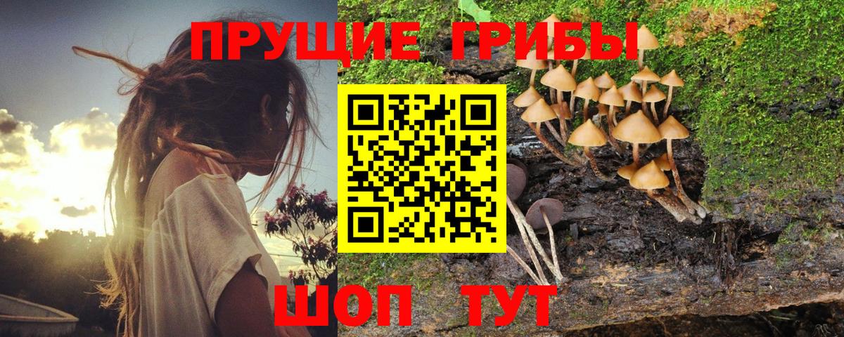 Черняховск  Псилоцибиновые грибы Psilocybe  Галлюциногенные грибы мухоморы  Вход с VPN 