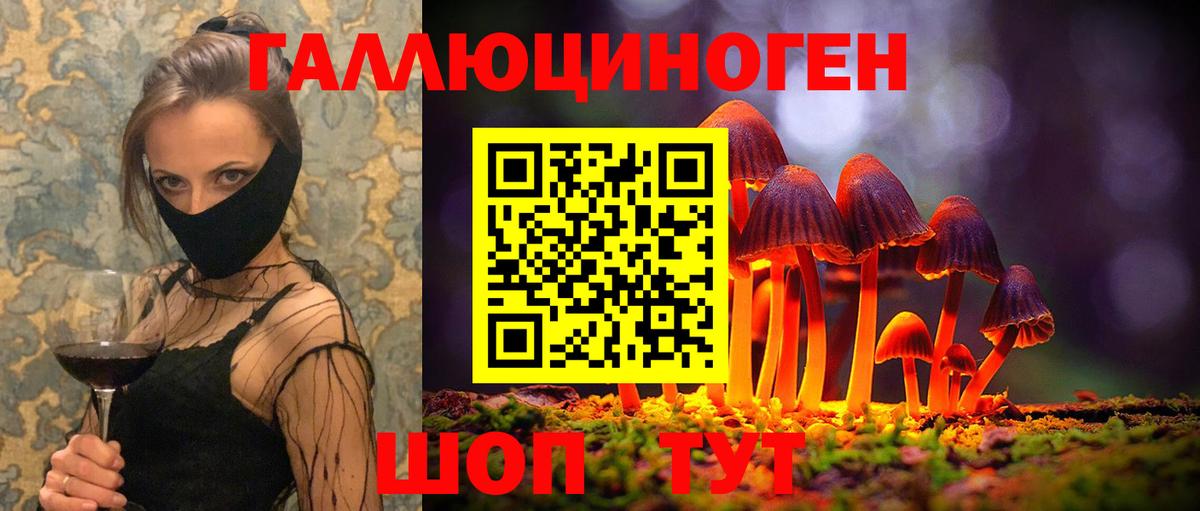 Псилоцибиновые грибы Psilocybine cubensis Черняховск